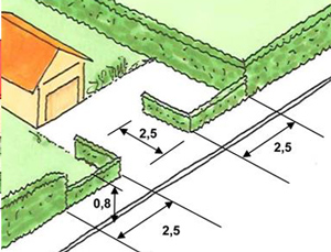 illustration: Vid utfart ska du se till att dina växter inte är högre än 80 cm från gatan inom markerad sikttriangel. Sikten ska vara fri minst 2,5 meter från gatan eller gångbanan.